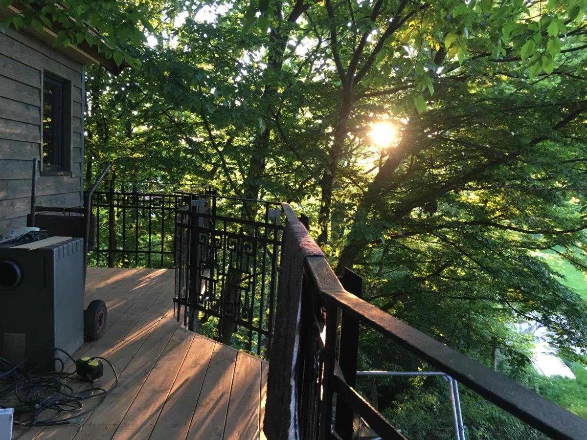 Вілла Baumhaus Auf Dem Kellerberg Fischach Екстер'єр фото