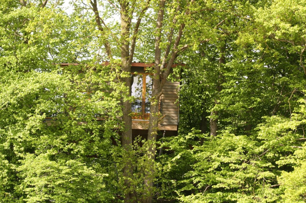 Вілла Baumhaus Auf Dem Kellerberg Fischach Екстер'єр фото